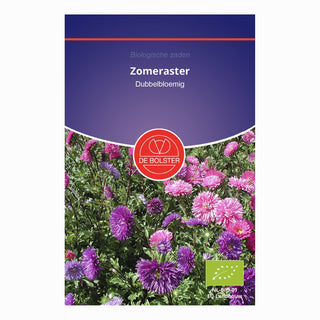 De Bolster Zomeraster Dubbelbloemig 5150