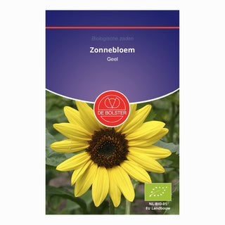 De Bolster Zonnebloem Middelgroot - Geel 5460