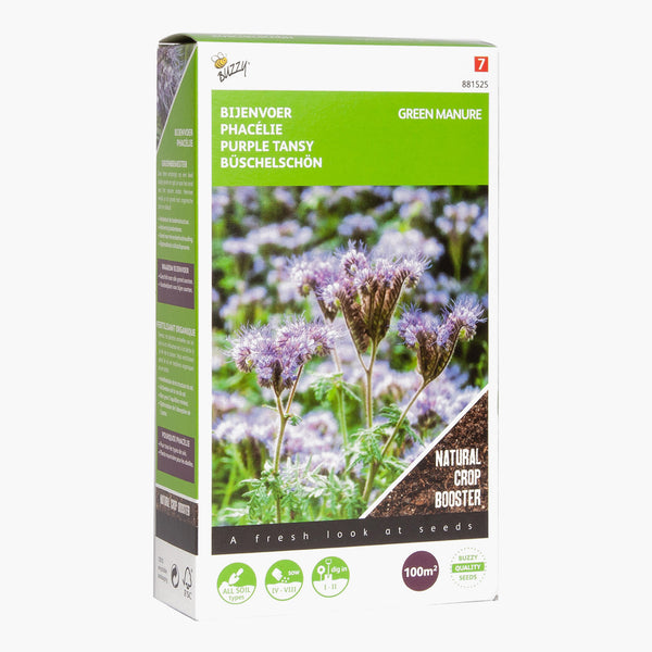 Buzzy Organic Phacelia tanacetifolia 100g
