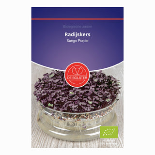 De Bolster Radijskers 'Sango Purple' 9041