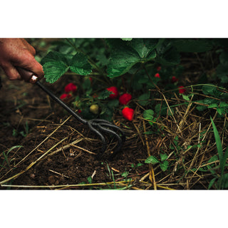 Barebones Cultivator