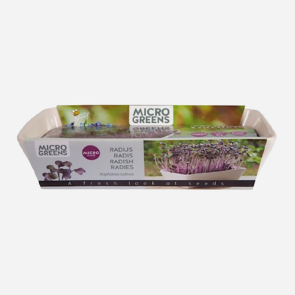 Buzzy Organic Microgreens Dish Daikon Radijs