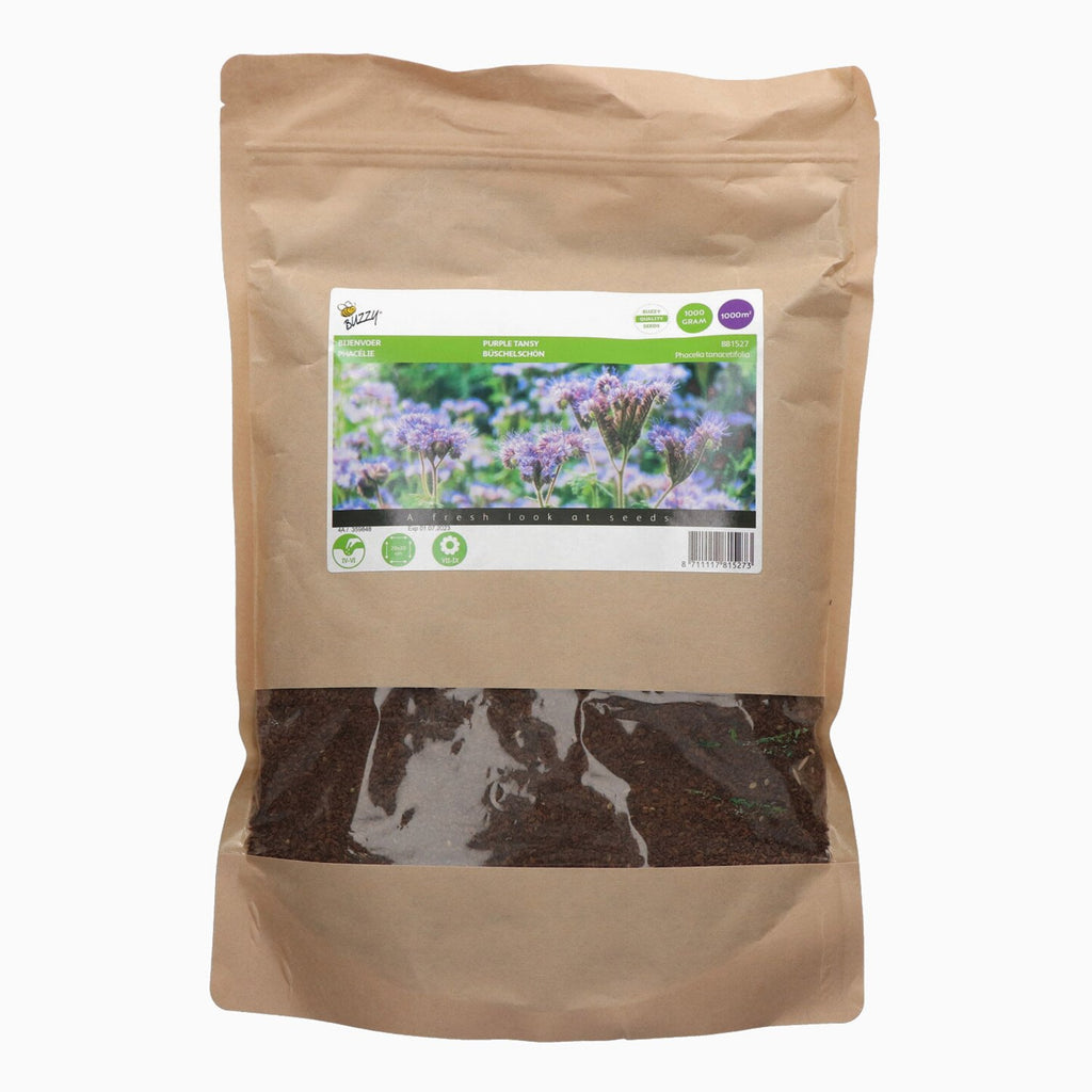 Buzzy Organic Phacelia tanacetifolia 1kg 881527