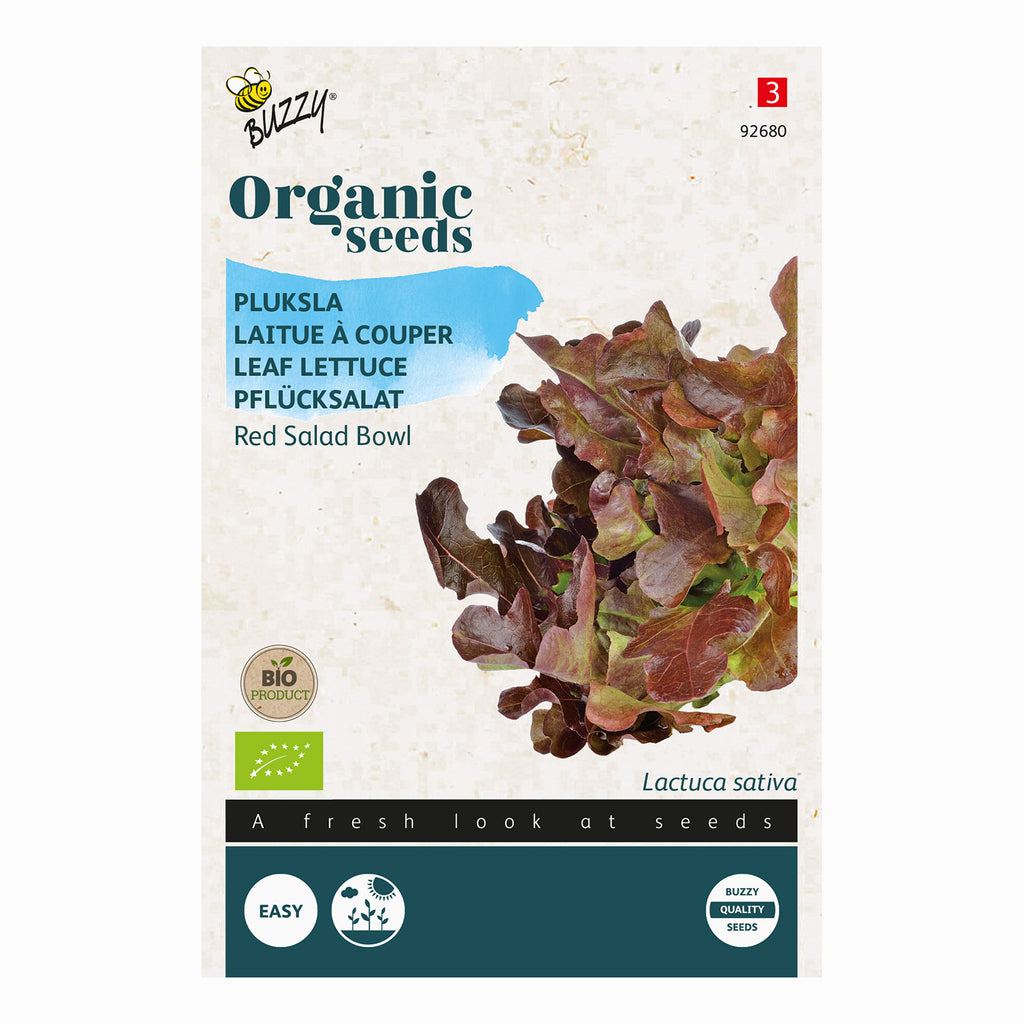 Buzzy Organic Pluksla Red Salad Bowl 92680