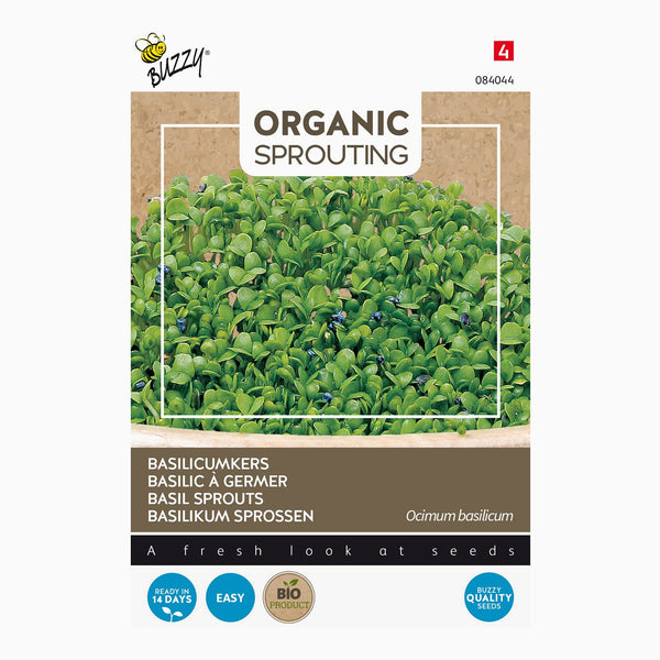 Buzzy Organic Sprouting Basilicumkers 084044