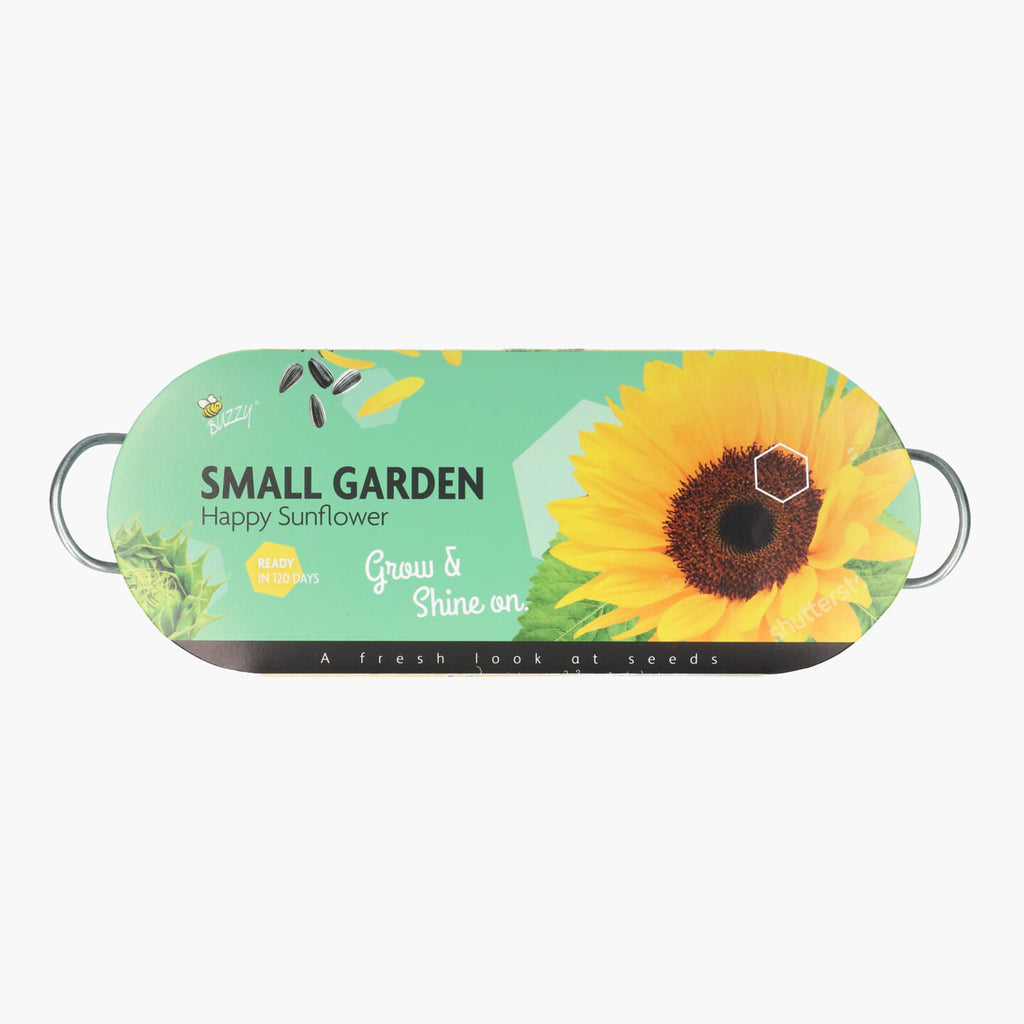 Buzzy Teil Small Garden - Happy Sunflower