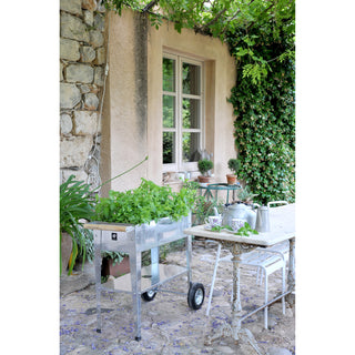Urban Garden Trolley Kweektafel