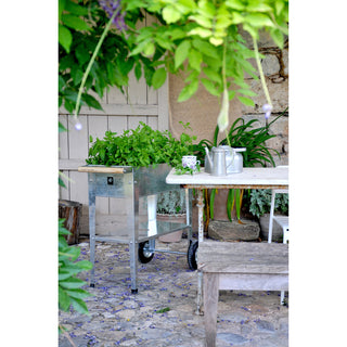 Urban Garden Trolley Kweektafel