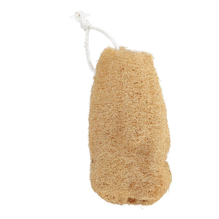 Luffa Spons