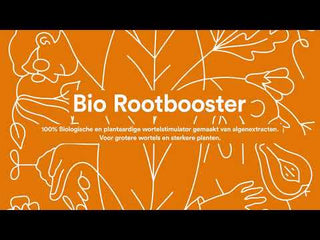 Cellmax Bio-Rootbooster